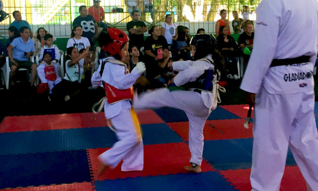 Tae Kwon Do